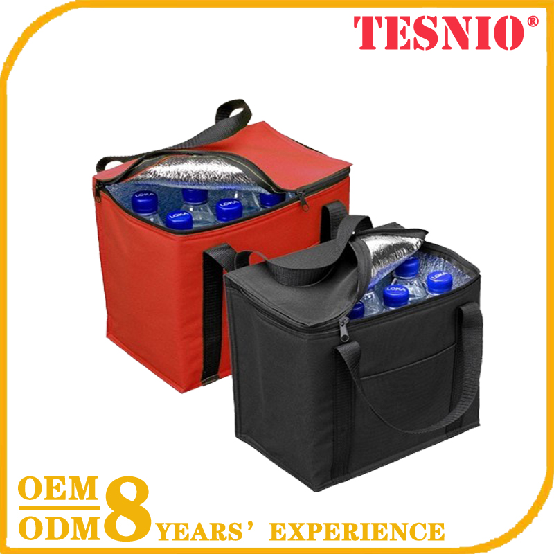 New Design Instant Ice Pack Thermal Cooler Bag Cooler Backpack TESNIO, DBB017
