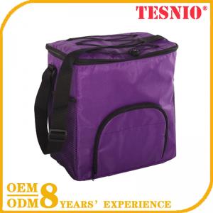 Custom Promotion Insulated Cooler Bag Lunch Cooler Bag Insulate TESNIO