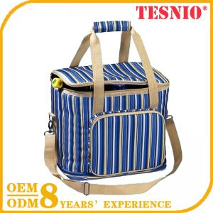 Factory Cooler Bag For Frozen Food Disposable Insulated Cooler Bag TESNIO