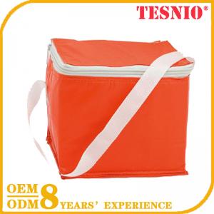 Fashion Ice Fabric Pack Backpack Cooler Lunch Bag TESNIO