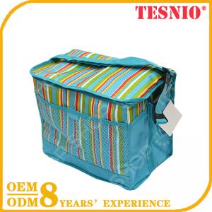 Free Sample Ice Packs With Logo Thermostat Bag Cooler Bag TESNIO