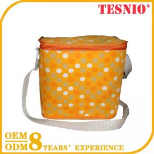 Hot Style Plastic Ice Lolly Bags Food Cooler Bag Wholesale TESNIO