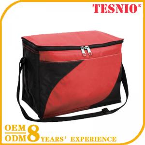 Logo Wholesale Insulated Cooler Bags Non Woven Cooler Bag TESNIO