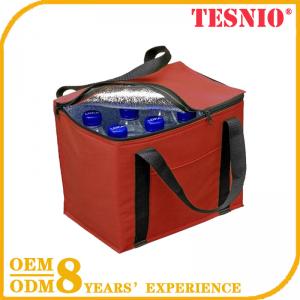 New Models Cooler Bag Insulated Car Cooler Bag Ice TESNIO