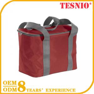 Wheeled  Disposable Cooler Bag Animal Shape Ice Pack Electric Cooler Bag tesnio
