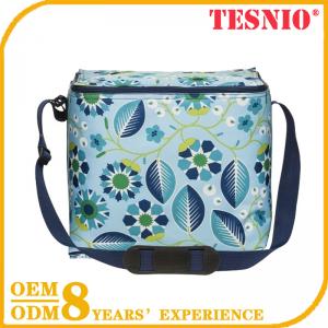 Wholesale Picnic Cooler Backpack For 4 Drawstring Cooler Bag TESNIO