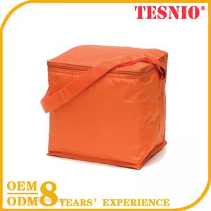 Zippers Ice Candy Bags Collapsible Cooler Bag Cooler Bags TESNIO