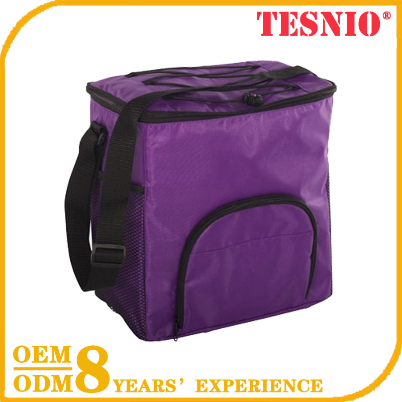 Custom Promotion Insulated Cooler Bag Lunch Cooler Bag Insulate TESNIO, DBB001