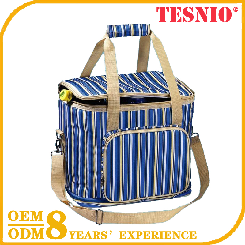 Factory Cooler Bag For Frozen Food Disposable Insulated Cooler Bag TESNIO, DBB035