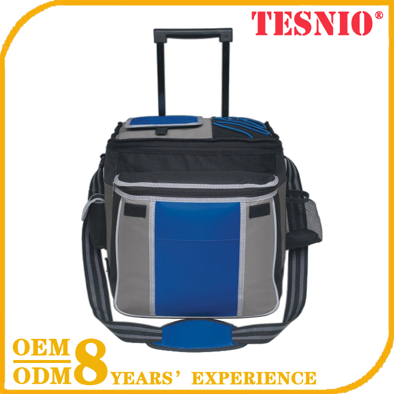 Manufacturer Large Insulated Canvas Cooler Bag Instant Ice Pack Folding Stool TESNIO, DBB034