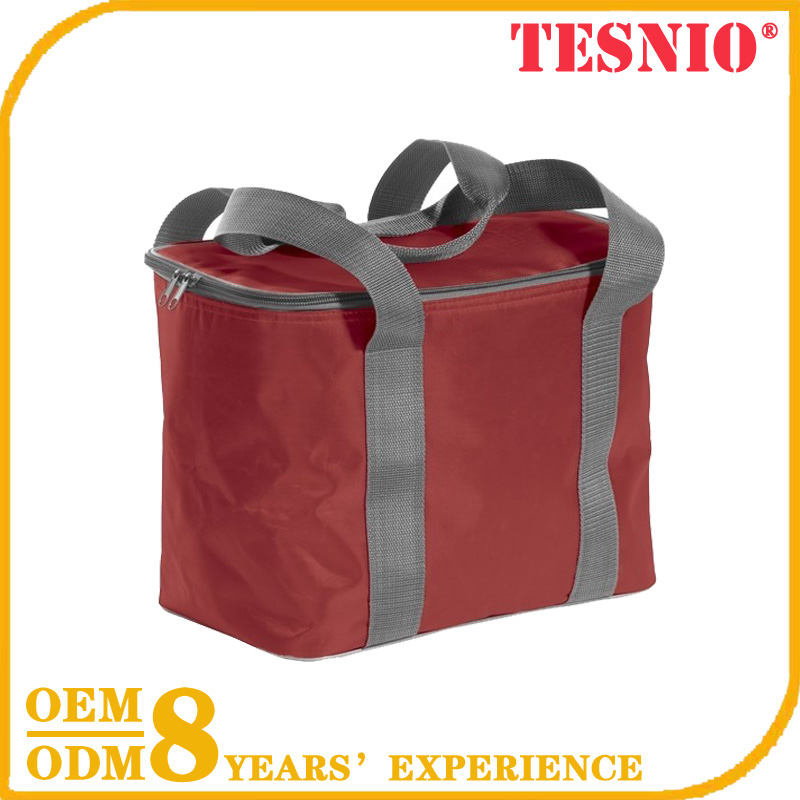 Wheeled  Disposable Cooler Bag Animal Shape Ice Pack Electric Cooler Bag tesnio, DBB013