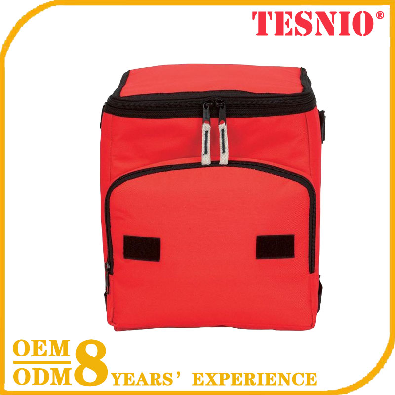 Xiamen Bag Extra Large Insulated Cooler Bag Can Cooler Bag Cooling TESNIO, DBB057